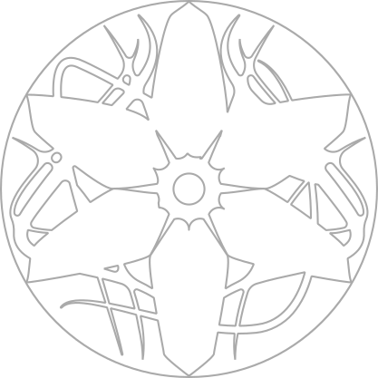 Spinning Image