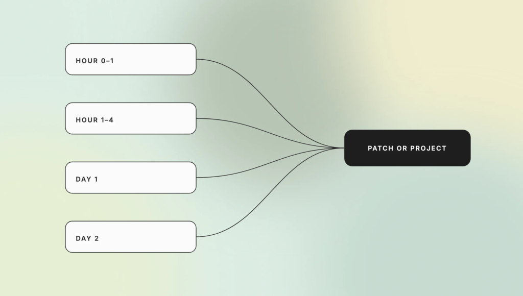 flow diagram showing steps (hour 0–1, hour 1–4, day 1, day 2) converging into a final “patch or project” step on the right.